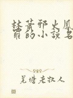 林萧邪火凤凰斗罗的小说名叫什么