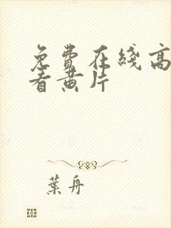 免费在线高清观看黄片