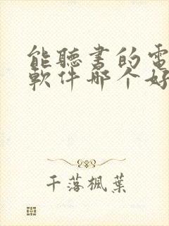 能听书的电子书软件哪个好