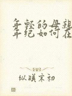 年轻的母亲3我年纪如何在线观看