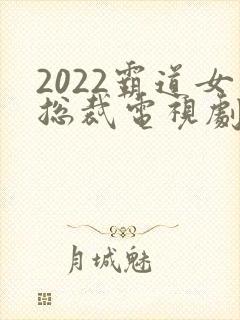 2022霸道女总裁电视剧
