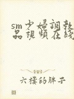 sm少妇调教精品视频在线观看网