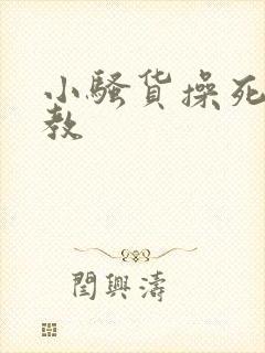 小骚货操死我调教