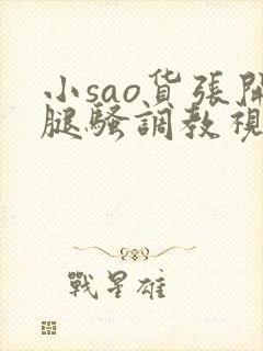 小sao货张开腿骚调教视频