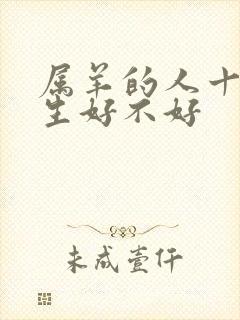 属羊的人十月出生好不好封面