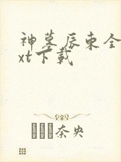 神墓辰东全本txt下载封面