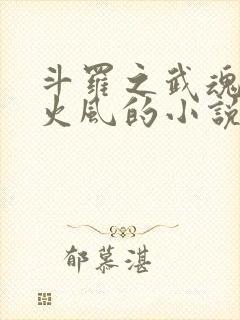 斗罗之武魂九首火风的小说