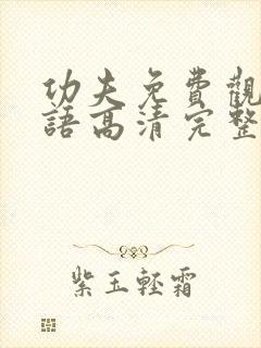 功夫免费观看国语高清完整版下载