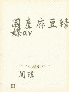 国产麻豆精品传媒av