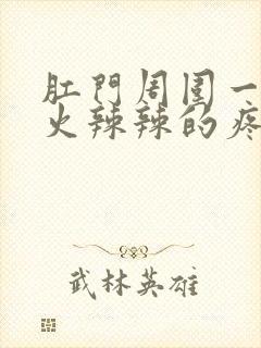 肛门周围一摸就火辣辣的疼封面