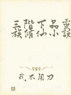 三阶下品灵脉家族修仙小说