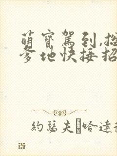 萌宝驾到,总裁爹地快接招