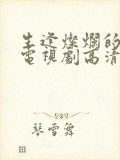 生逢灿烂的日子电视剧高清免费观看封面