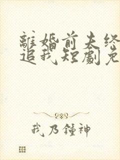 离婚前夫终是想追我短剧免费观看封面