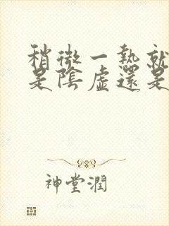 稍微一热就出汗是阴虚还是阳虚