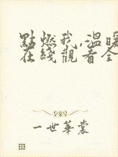 点燃我,温暖你在线观看全集免费