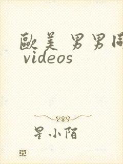 欧美 男男同性 videos