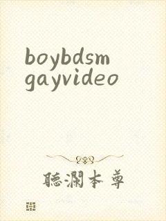 boybdsmgayvideo封面