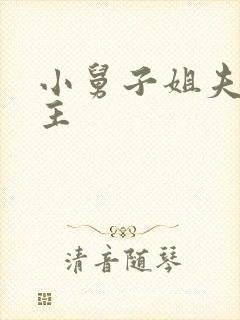 小舅子姐夫双男主