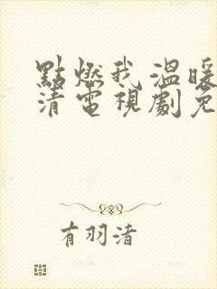 点燃我温暖你高清电视剧免费观看