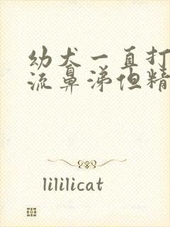 幼犬一直打喷嚏流鼻涕但精神很好