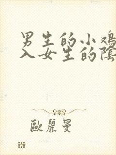 男生的小鸡鸡插入女生的阴道