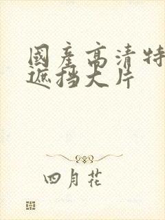 国产高清特黄无遮挡大片