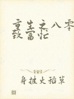 重生之八零佳妻致富忙