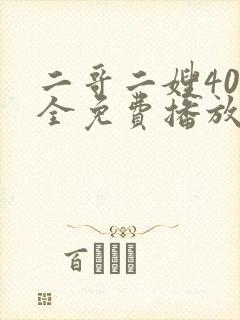 二哥二嫂40集全免费播放在线观看