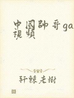 中国帅哥gay视频