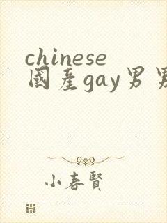 chinese国产gay男男网站