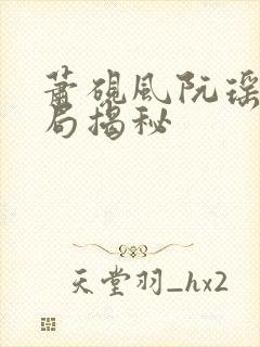 萧砚风阮瑶光结局揭秘