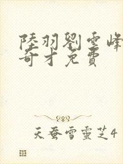 陆羽刘云峰鸿途奇才免费