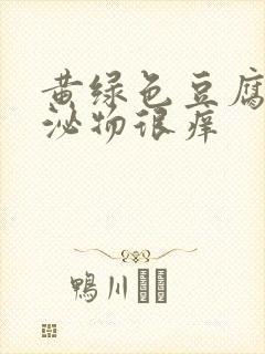 黄绿色豆腐渣分泌物很痒