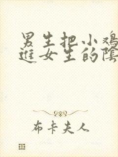 男生把小鸡鸡插进女生的阴道里