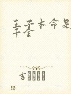 王子本命是恶役千金