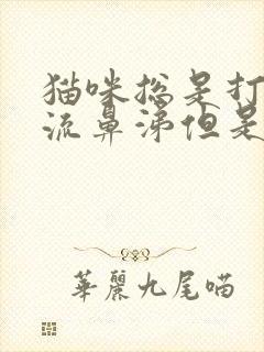 猫咪总是打喷嚏流鼻涕但是状态正常