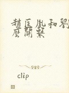 赵匡胤和刘裕什么关系封面