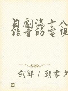 日剧满十八岁才能看的电视剧