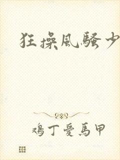 狂操风骚少妇