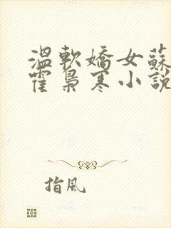 温软娇女苏婉,霍枭寒小说