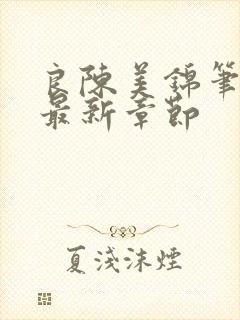 良陈美锦笔趣阁最新章节