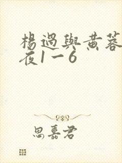 杨过与黄蓉销魂夜1一6