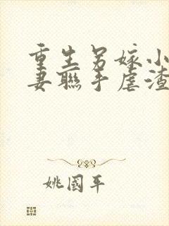 重生另嫁小说夫妻联手虐渣