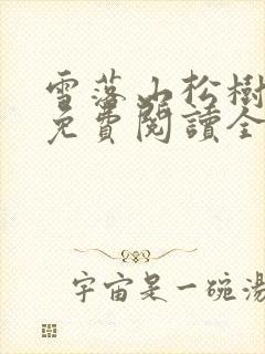 雪落山松树小说免费阅读全文无弹窗封面