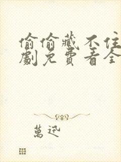 偷偷藏不住广播剧免费看全集封面