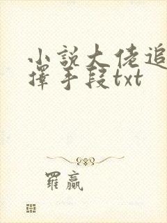 小说大佬追妻不择手段txt