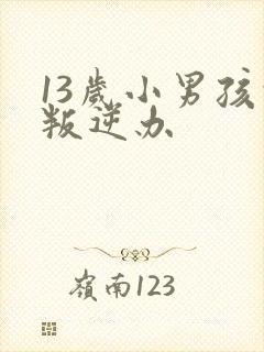 13岁小男孩的叛逆办封面