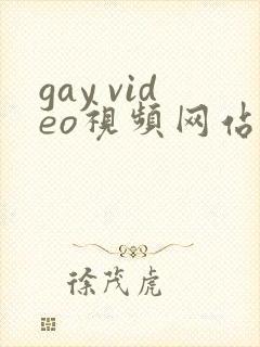 gay video视频网站