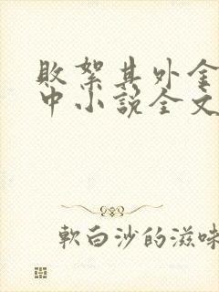 败絮其外金玉其中小说全文免费阅读